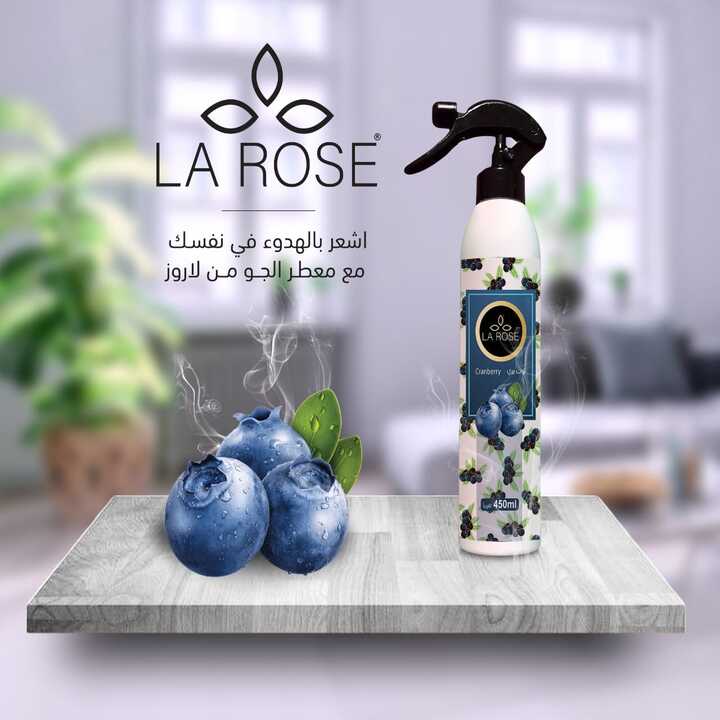 لاروز معطر جو توت بري 450 مل
