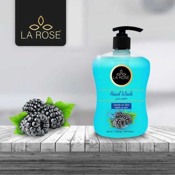 لاروز هاند ووش توت 650 مل