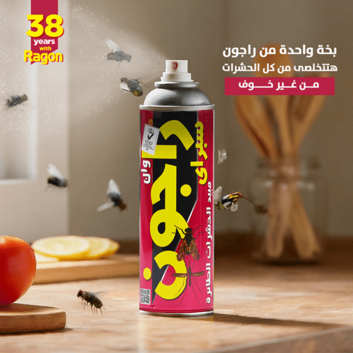 راجون مبيد الحشرات الطائرة 300 مل