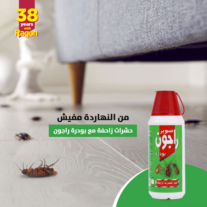 راجون بودرة مبيد الحشرات الزاحفة 80 جم