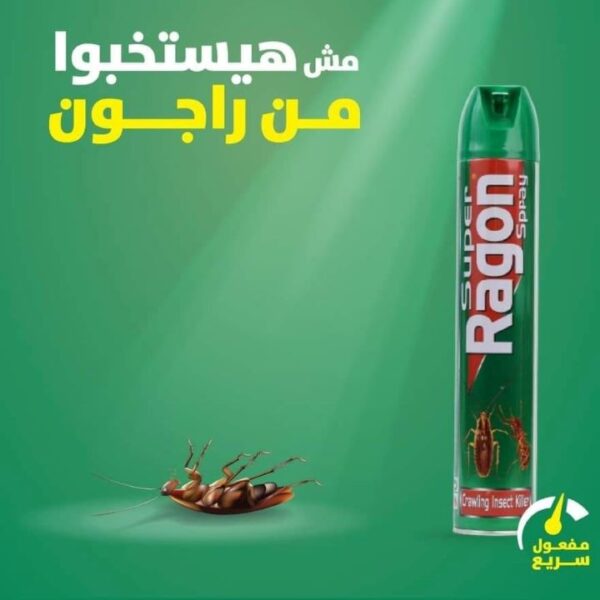 راجون مبيد الحشرات الزاحفة 500 مل