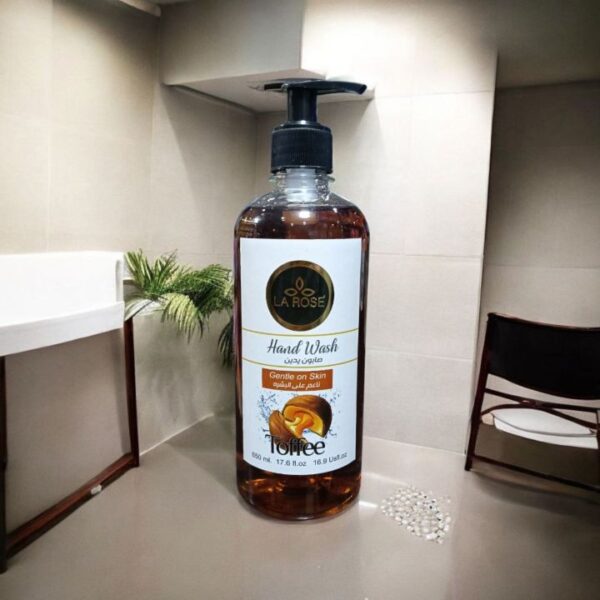 لاروز هاند ووش توفي 650 مل